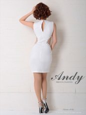 画像17: [SALE品のため返品不可＆再入荷なしの現品限り][Andy/an][Andy]ノースリーブ ・ビジュー・蝶モチーフ・サイドカットアウト・タイト・ミニドレス・ワンピース《送料＆代引き手数料無料》 (17)