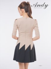 画像8: [Andy/an][Andy] 五分袖・プリーツ ・ベルト・バイカラー・Aライン・ミニドレス・ワンピース《送料＆代引き手数料無料》 (8)