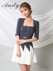画像10: [Andy/an][Andy] 五分袖・プリーツ ・ベルト・バイカラー・Aライン・ミニドレス・ワンピース《送料＆代引き手数料無料》 (10)