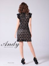 画像11: [Andy/an][Andy]半袖・ドットレース・リボン・タイト・ミニドレス・ワンピース《送料＆代引き手数料無料》 (11)