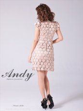 画像12: [Andy/an][Andy]半袖・ドットレース・リボン・タイト・ミニドレス・ワンピース《送料＆代引き手数料無料》 (12)