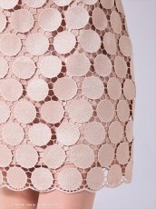 画像18: [Andy/an][Andy]半袖・ドットレース・リボン・タイト・ミニドレス・ワンピース《送料＆代引き手数料無料》 (18)