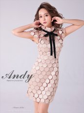 画像3: [Andy/an][Andy]半袖・ドットレース・リボン・タイト・ミニドレス・ワンピース《送料＆代引き手数料無料》 (3)