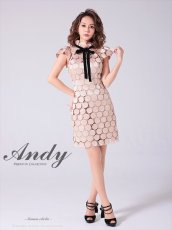 画像6: [Andy/an][Andy]半袖・ドットレース・リボン・タイト・ミニドレス・ワンピース《送料＆代引き手数料無料》 (6)