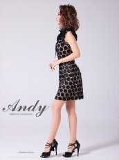 画像8: [Andy/an][Andy]半袖・ドットレース・リボン・タイト・ミニドレス・ワンピース《送料＆代引き手数料無料》 (8)