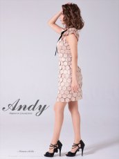 画像9: [Andy/an][Andy]半袖・ドットレース・リボン・タイト・ミニドレス・ワンピース《送料＆代引き手数料無料》 (9)