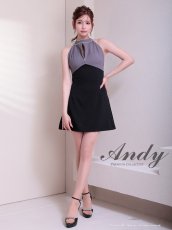 画像4: [Andy/an][Andy]ホルターネック ・フロントジップ・ハイネック・ビジュー・リボン・フレア・ミニドレス・キャバドレス《送料＆代引き手数料無料》 (4)