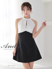 画像5: [Andy/an][Andy]ホルターネック ・フロントジップ・ハイネック・ビジュー・リボン・フレア・ミニドレス・キャバドレス《送料＆代引き手数料無料》 (5)