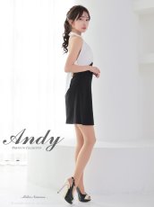 画像8: [Andy/an][Andy]ホルターネック ・フロントジップ・ハイネック・ビジュー・リボン・フレア・ミニドレス・キャバドレス《送料＆代引き手数料無料》 (8)