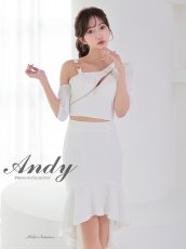 画像1: [ XS-Mサイズ / 3カラー ][Andy/an]アシンメトリー・フロントジップ・テールカット・セットアップ・ミディアムドレス《送料＆代引き手数料無料》 (1)