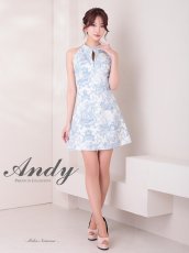 画像4: [Andy/an][Andy]ミニ・ホルターネック・花柄・プリント・リボン・ファスナー・Aライン・ノースリーブ・ミニドレス・ワンピース《送料＆代引き手数料無料》 (4)