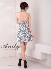 画像7: [Andy/an][Andy]ミニ・ホルターネック・花柄・プリント・リボン・ファスナー・Aライン・ノースリーブ・ミニドレス・ワンピース《送料＆代引き手数料無料》 (7)