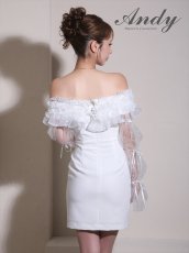 画像14: [Andy/an][Andy]ギャザーフリル・2way・袖付き・ロングスリーブ・オフショル・シアー・チュール・タイト・ミニドレス《送料＆代引き手数料無料》 (14)