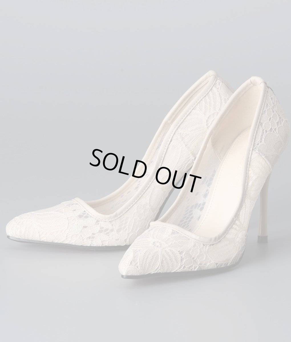 画像3: 10cmヒール・総レース・エレガント・ポインテッドトゥ・ハイヒール・パンプス (3)