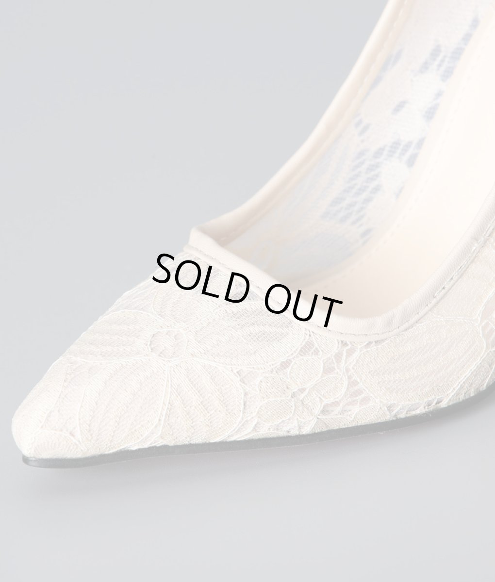 画像6: 10cmヒール・総レース・エレガント・ポインテッドトゥ・ハイヒール・パンプス (6)