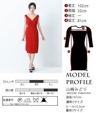 画像5: [韓国製][rinfarre]レッド・シンプル・ノースリーブ・Aライン・ミディアムドレス・ワンピース[山崎みどり着用][送料無料]myrd (5)