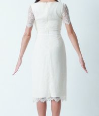 画像8: [韓国製][rinfarre]アイボリー・総レース・襟付き・半袖・ボタン・タイト・ミディアムドレス・ワンピース myiv[山崎みどりちゃん着用][送料無料] (8)