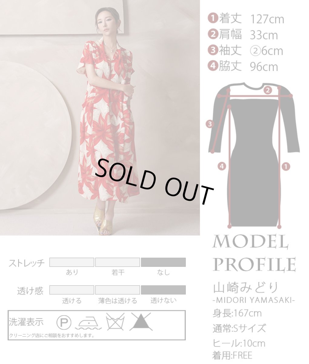 画像10: [ フリーサイズ / 1カラー ][Eclet-Grelot by RiNFARRE] レッド・フラワープリント・Vネック・半袖・フレア・ロングドレス・ワンピース・エクラグレロ [山崎みどり着用][送料無料] myrd (10)