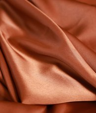 画像19: [ フリーサイズ / 2カラー ][EleHast]ハイネック・サテンエレガント・フレンチトップス・ブラウス[薗田杏奈着用] (19)