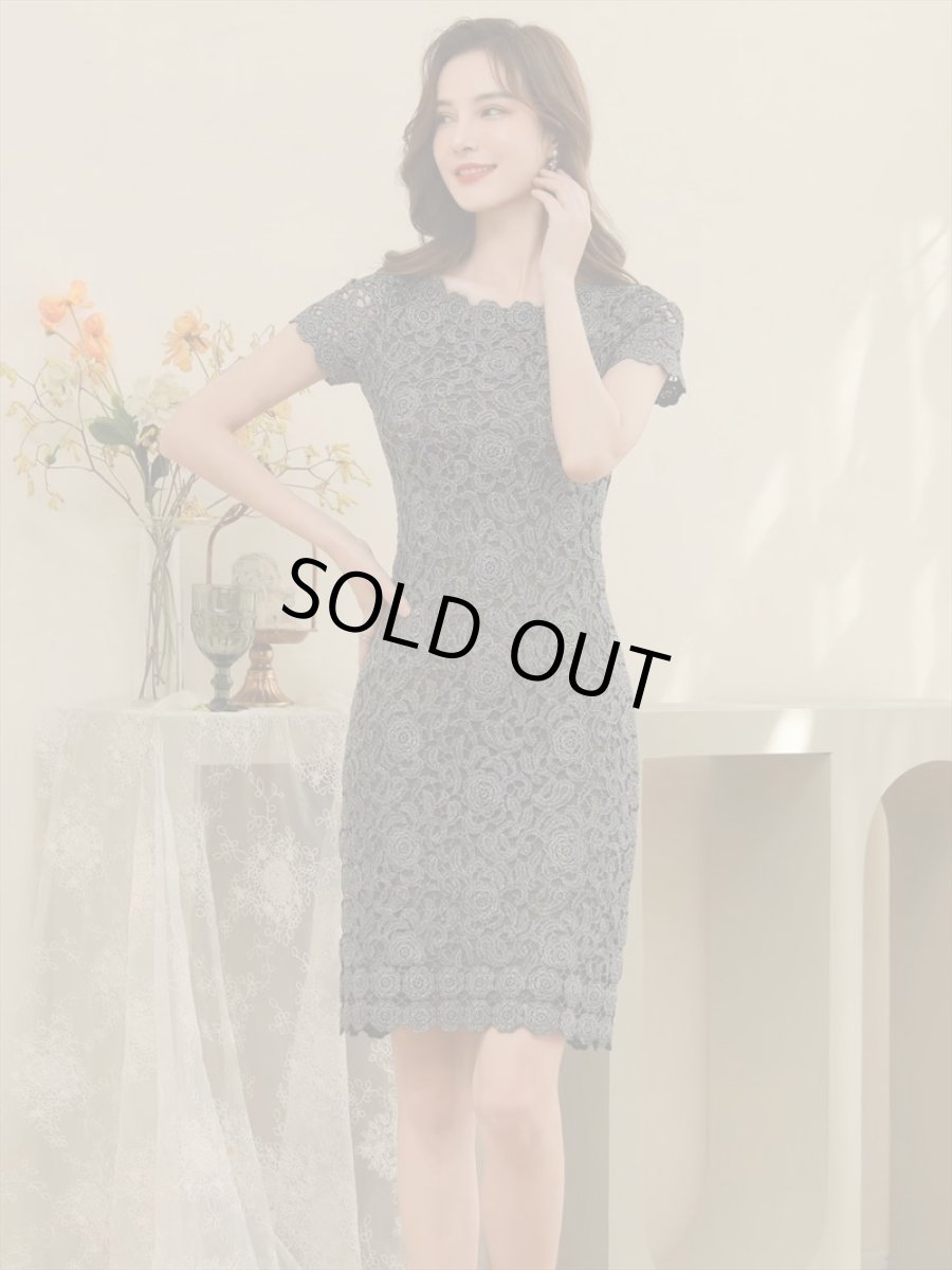 画像8: [ERUKEI]ピンク・シルバー・ブラック・金糸・総レース・ラメレース・半袖・タイト・ミディアムドレス・ワンピース[送料無料] (8)