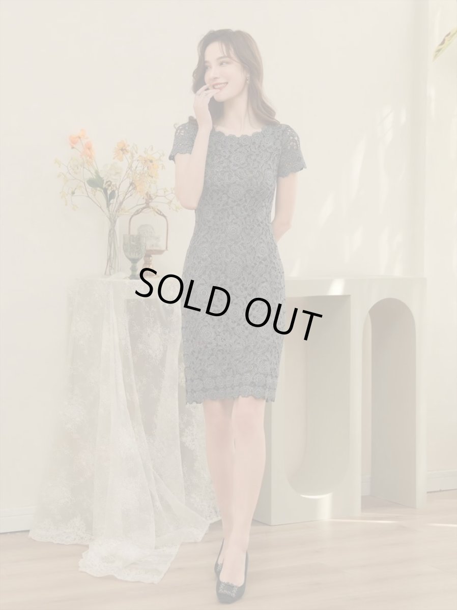 画像17: [ERUKEI]ピンク・シルバー・ブラック・金糸・総レース・ラメレース・半袖・タイト・ミディアムドレス・ワンピース[送料無料] (17)