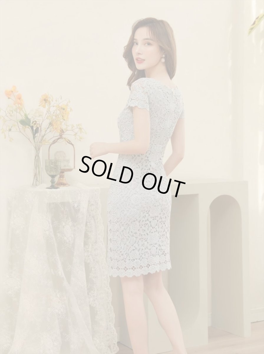 画像9: [ERUKEI]ピンク・シルバー・ブラック・金糸・総レース・ラメレース・半袖・タイト・ミディアムドレス・ワンピース[送料無料] (9)