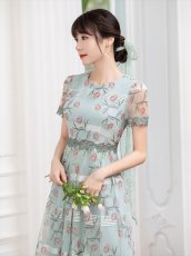 画像3: [ XS-Lサイズ / 2カラー ][ERUKEI/GINZA COUTURE]グリーン・ピンク・チュール・Aライン・ミディアムドレス・ワンピース[送料無料] (3)