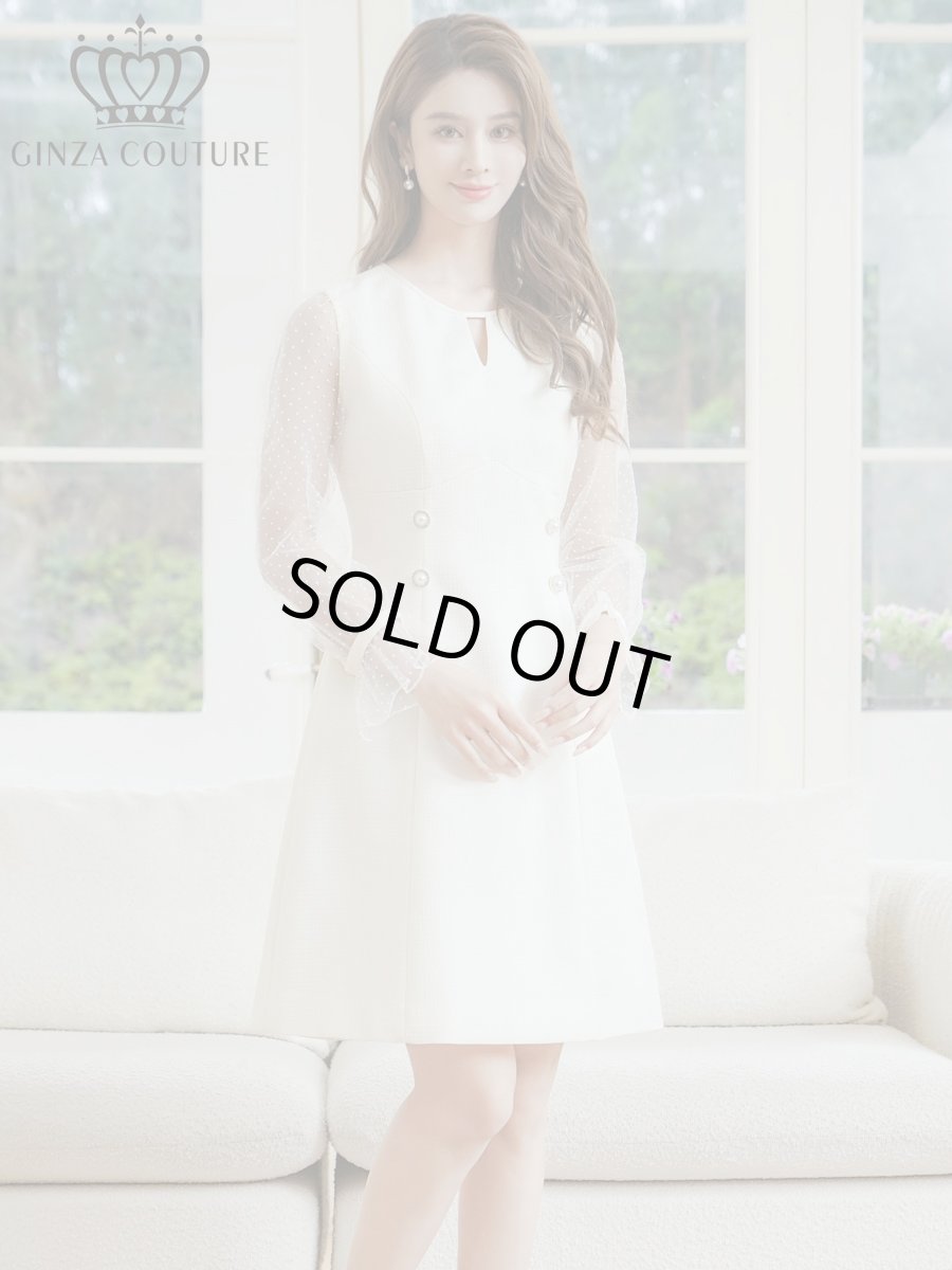 画像3: [ERUKEI/GINZA COUTURE]長そで・シースルー・ドット・パール・ビジューボタン・Aライン・ミニドレス・ワンピース[送料無料] (3)