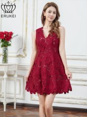 画像1: [ERUKEI]総レース・ケミカルレース・ノースリーブ・Vネック・Aライン・ミニドレス・ワンピース[送料無料] (1)