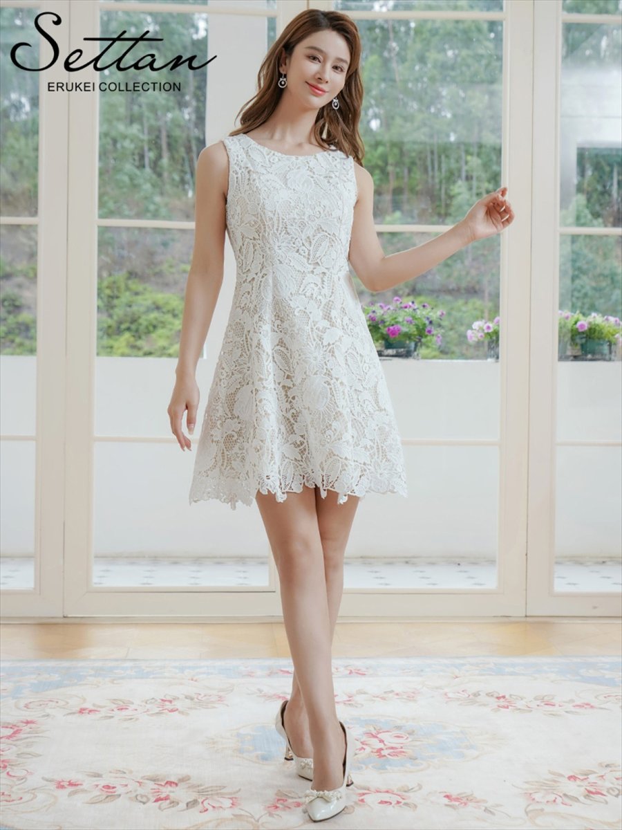 画像13: [ERUKEI/SETTAN]花柄・ケミカルレース・総レース・Aライン・フレア・ミニドレス・ワンピース[送料無料] (13)