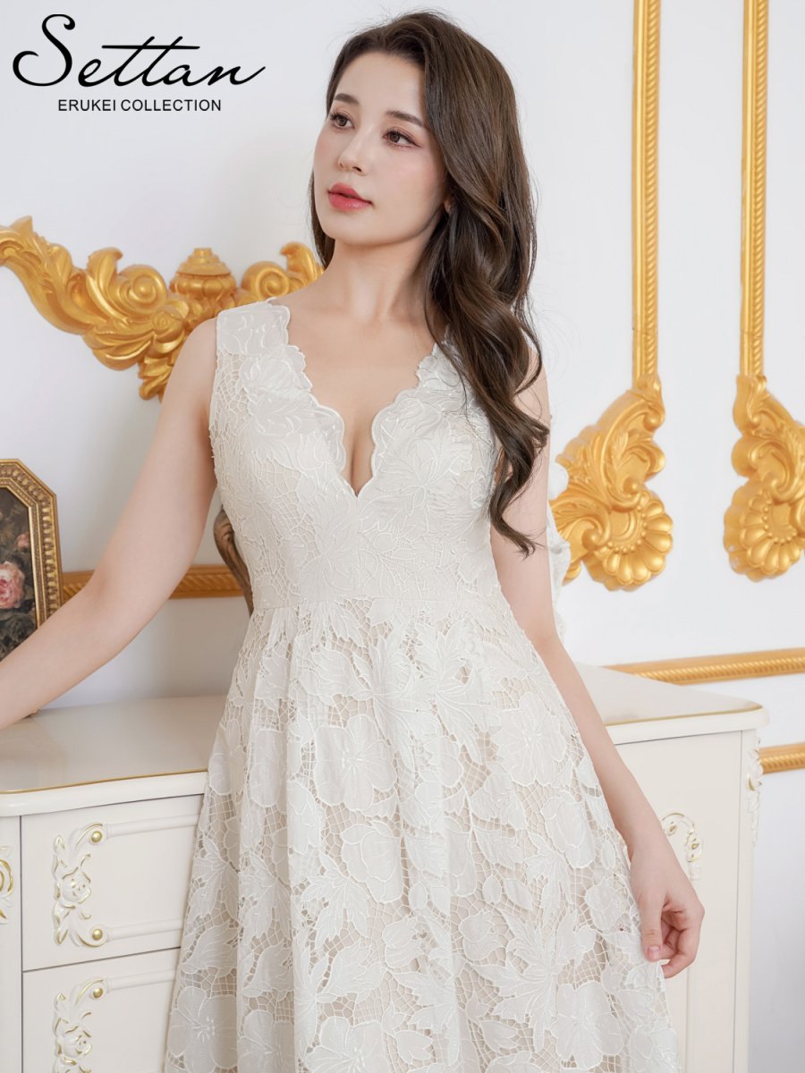 画像4: [ XS-Lサイズ / 1カラー][ERUKEI/SETTAN]総レース・Vネック・ノースリーブ・Aライン・ミディアムドレス・ワンピース[送料無料] (4)