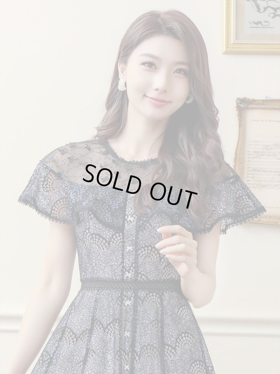 画像8: [ERUKEI/SETTAN]ホワイト・ブラック・総レース・シースルー・半袖・Aライン・ミディアムドレス・ワンピース[送料無料] (8)