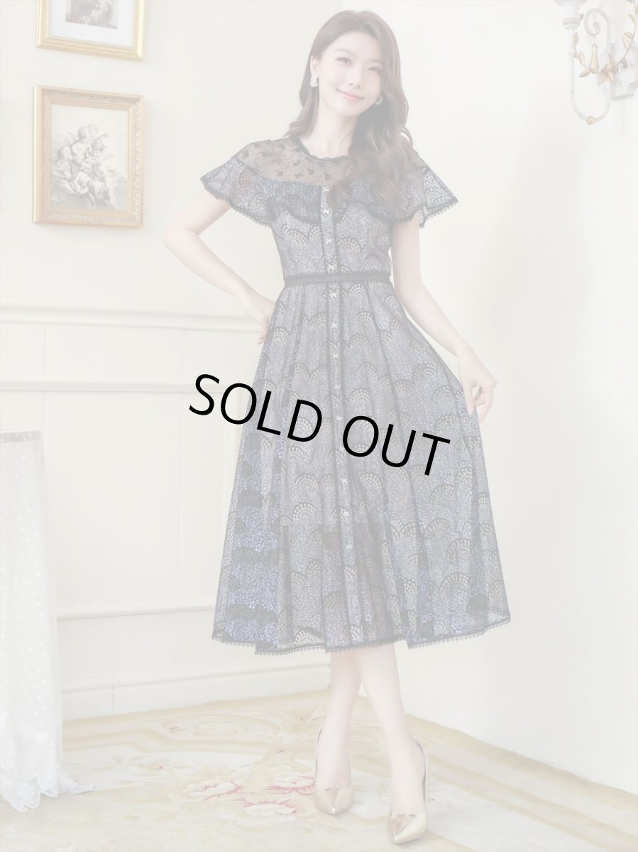 画像10: [ERUKEI/SETTAN]ホワイト・ブラック・総レース・シースルー・半袖・Aライン・ミディアムドレス・ワンピース[送料無料] (10)
