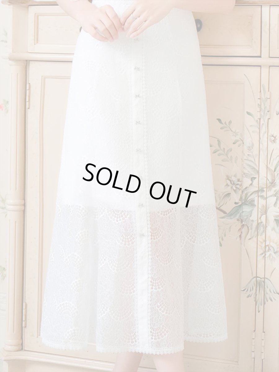 画像9: [ERUKEI/SETTAN]ホワイト・ブラック・総レース・シースルー・半袖・Aライン・ミディアムドレス・ワンピース[送料無料] (9)