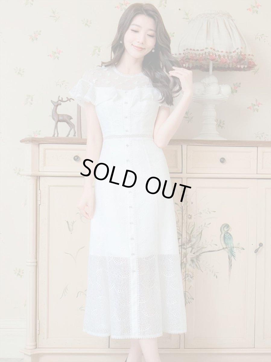 画像11: [ERUKEI/SETTAN]ホワイト・ブラック・総レース・シースルー・半袖・Aライン・ミディアムドレス・ワンピース[送料無料] (11)