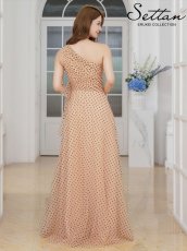 画像10: [一部カラーSALE品のため返品不可＆再入荷なしの現品限り][ XS-Lサイズ / 3カラー ][ERUKEI/SETTAN]ワンショルダー・ハートドット・チュールレース・ハイウエスト・Aライン・ロングドレス[送料無料] (10)