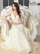 画像1: [ERUKEI/SETTAN]総レース・総スパンコール・刺繡・Vネック・ノースリーブ・フレア・Aライン・ロングドレス[送料無料] (1)