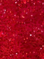 画像7: [ERUKEI/SETTAN]総レース・総スパンコール・刺繡・Vネック・ノースリーブ・フレア・Aライン・ロングドレス[送料無料] (7)