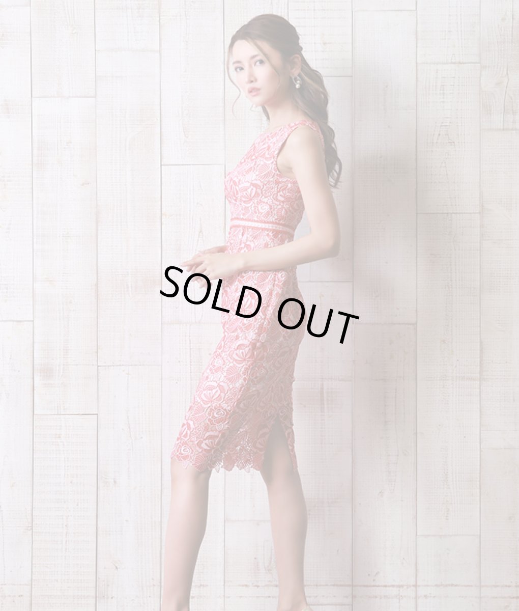 画像3: [ERUKEI]ケミカルレース・総レース・ノースリーブ・タイト・膝丈・ミディアムドレス・ワンピース[れお着用]《送料＆代引き手数料無料》 (3)