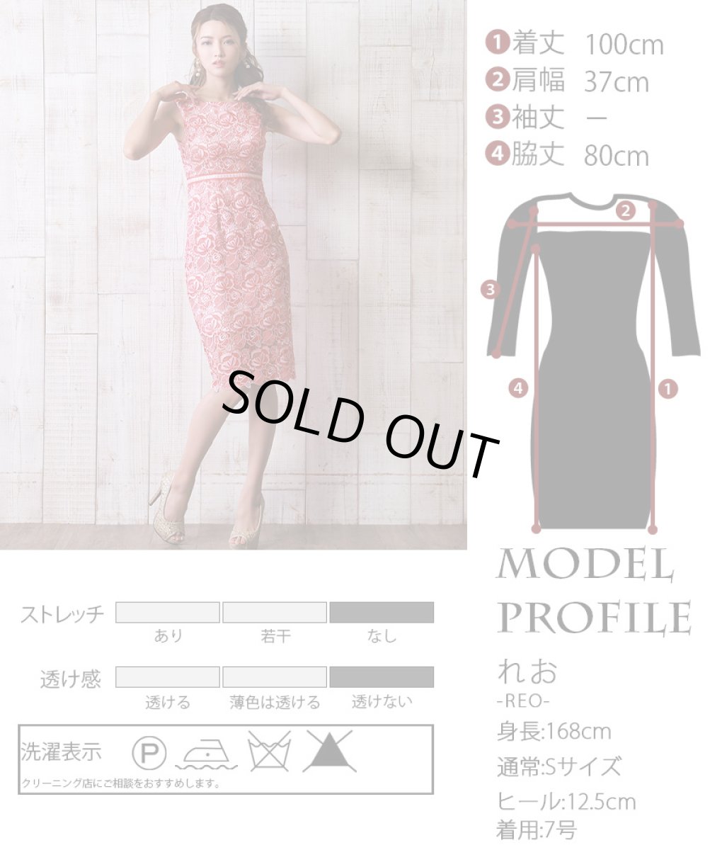 画像6: [ERUKEI]ケミカルレース・総レース・ノースリーブ・タイト・膝丈・ミディアムドレス・ワンピース[れお着用]《送料＆代引き手数料無料》 (6)