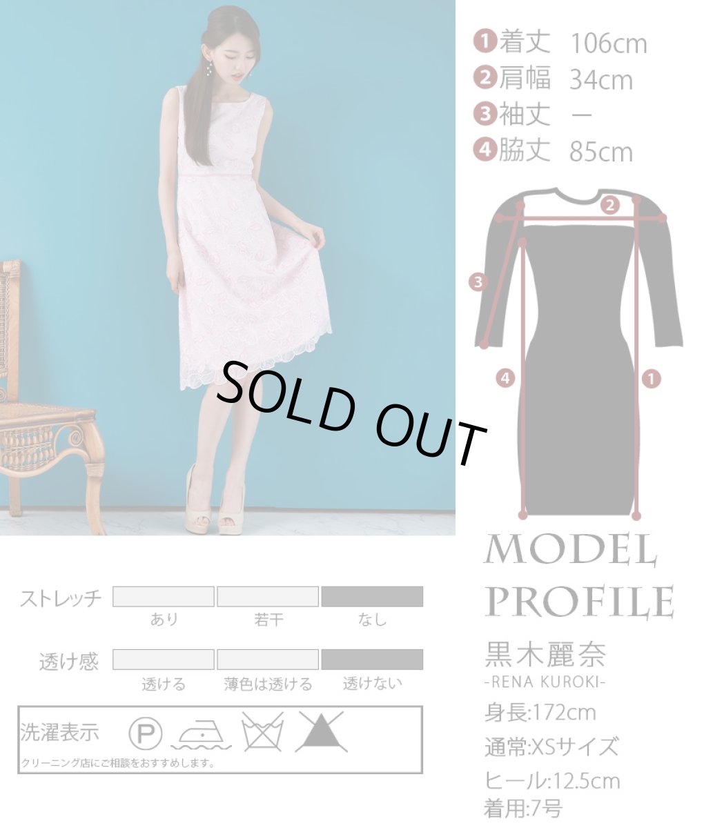 画像5: [ERUKEI]総レース・ハイウエスト・ウエストポイント・ノースリーブ・Aライン・ミディアムドレス・ワンピース[黒木麗奈着用][送料無料] (5)