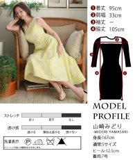 画像19: [ XS-Lサイズ / 3カラー][ERUKEI]ジャガード・花柄・スリットネック・フィッシュテール・Aライン・ミディアムドレス・ワンピース[山崎みどり着用][送料無料]myyl (19)