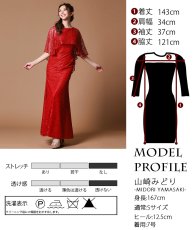 画像9: [ERUKEI]ケープ・総レース・エレガント・半袖・Aライン・ロングドレス[山崎みどり着用]《送料＆代引き手数料無料》mywhwr (9)