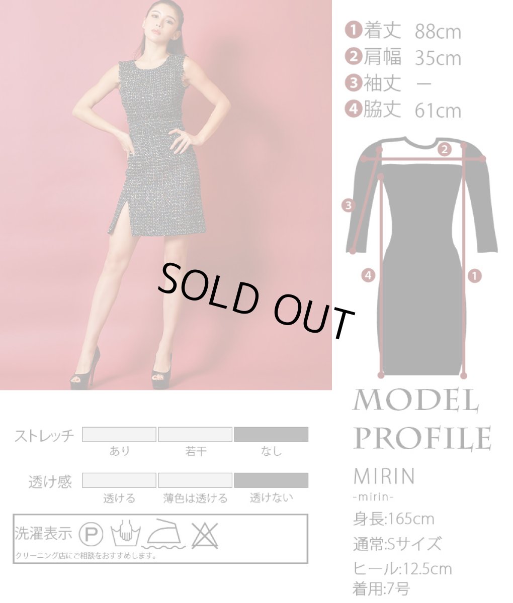 画像6: [ERUKEI]スパンコールMIX・ツイード・ポイントフリンジ・ノースリーブ・スリット・タイト・ミニドレス・ワンピース《送料＆代引き手数料無料》 [MIRIN着用] (6)