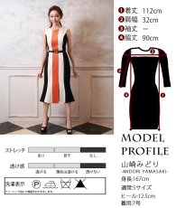 画像9: [ XS-Lサイズ / 2カラー][ERUKEI]トリコロールカラー・フロントジップ・ノースリーブ・タイト・マーメイド・ミディアムドレス・ワンピース[山崎みどり着用][送料無料]myor (9)