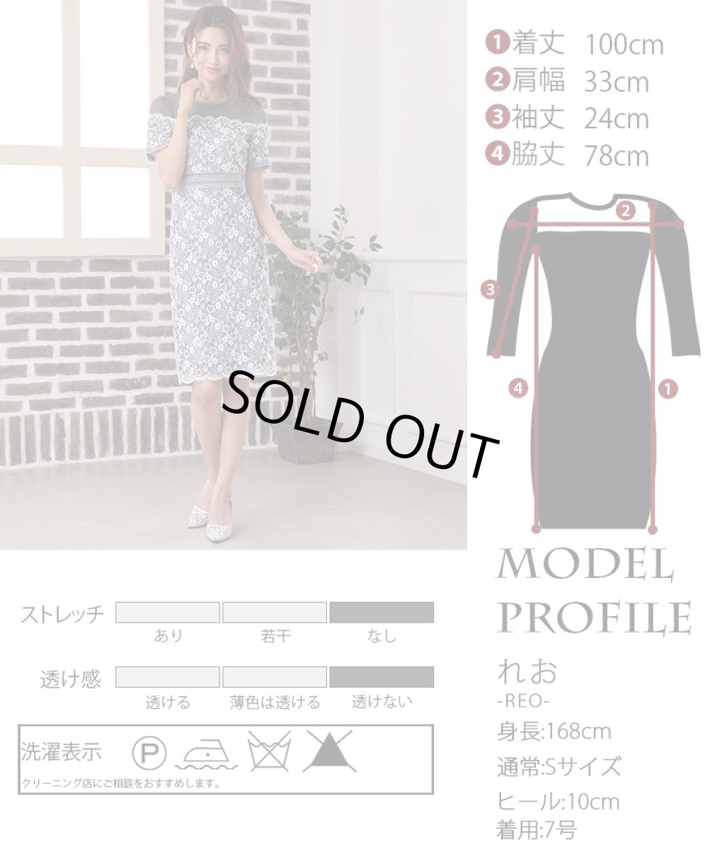 画像5: [SALE品のため返品不可＆再入荷なしの現品限り][ERUKEI]グレー・フラワーレース・半袖・シースルー・タイト・ミニドレス・ワンピース[れお着用]《送料＆代引き手数料無料》 (5)