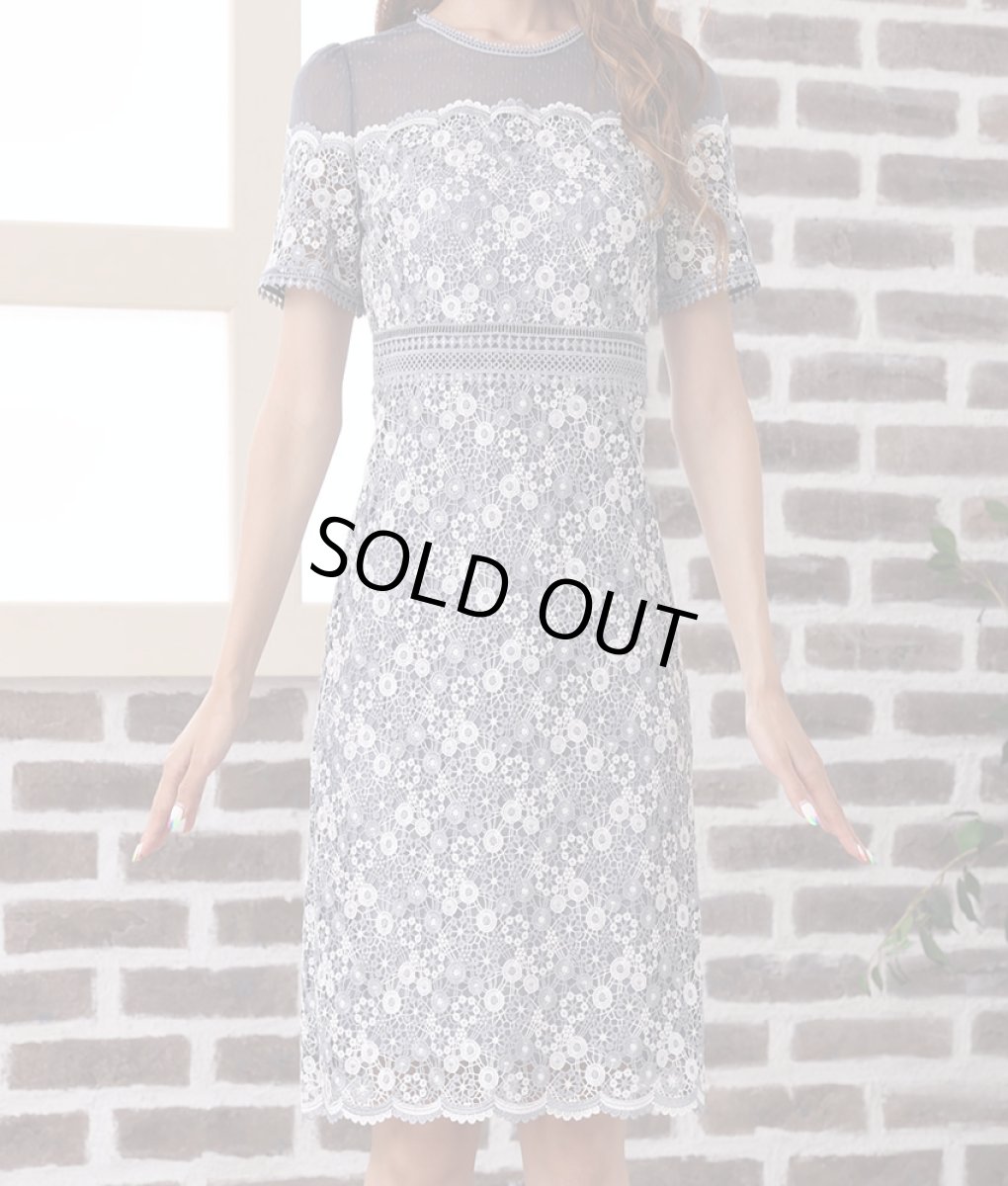 画像6: [SALE品のため返品不可＆再入荷なしの現品限り][ERUKEI]グレー・フラワーレース・半袖・シースルー・タイト・ミニドレス・ワンピース[れお着用]《送料＆代引き手数料無料》 (6)