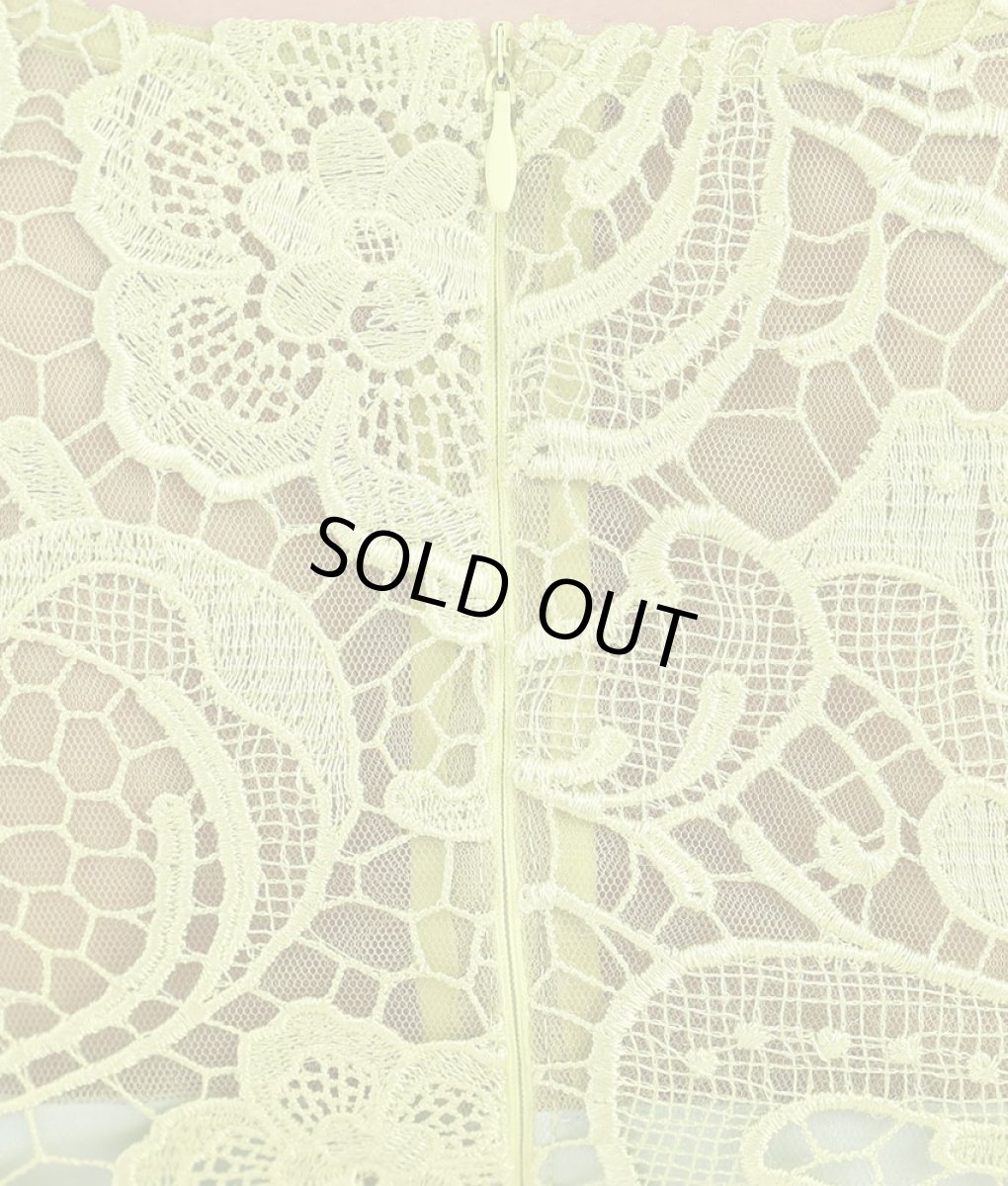 画像11: [ERUKEI]総レース・エレガント・ショート丈・ノースリーブ・タイト・ミニドレス・ワンピース[山崎みどり・れお着用][送料無料]myyl (11)