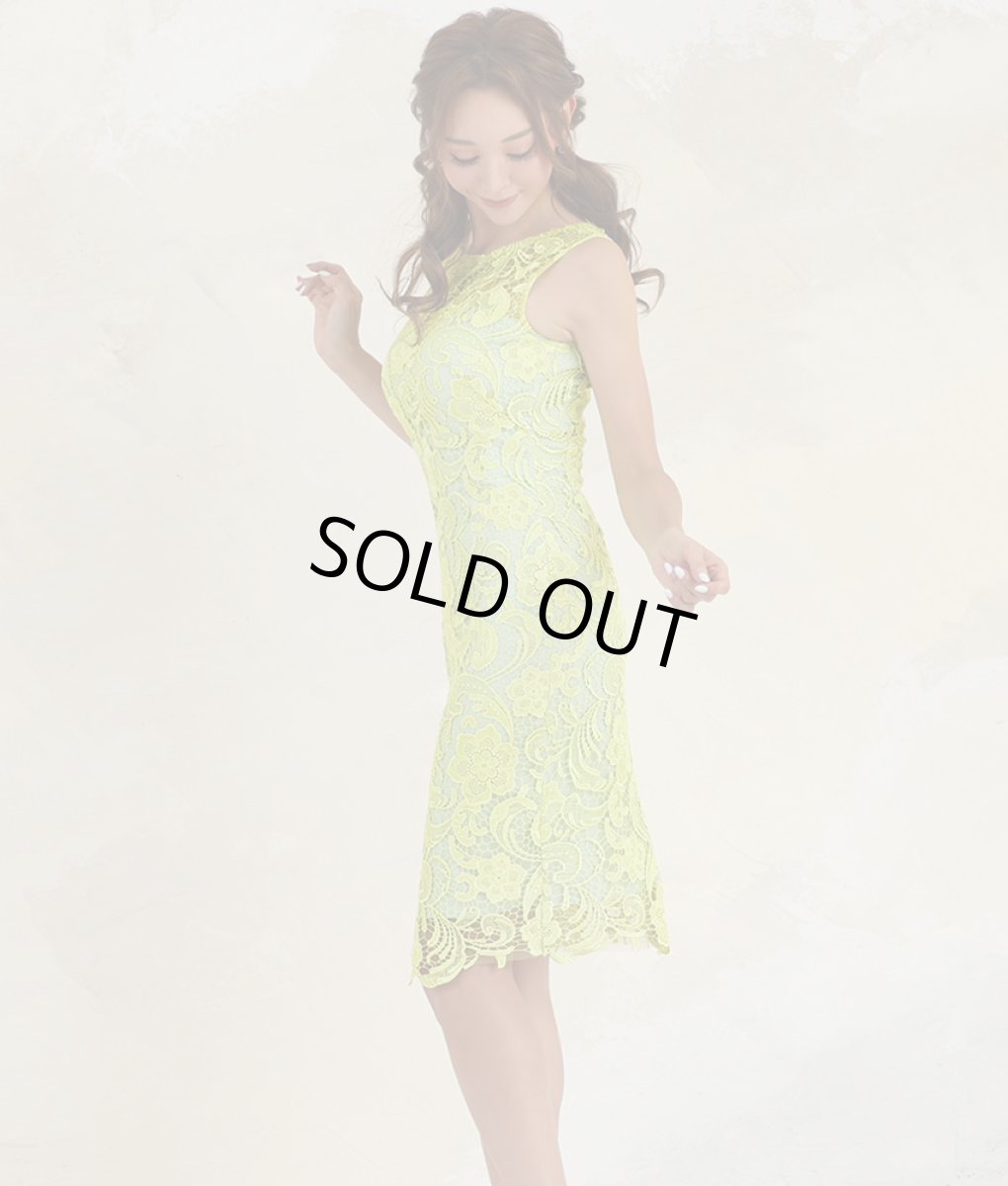 画像3: [ERUKEI]総レース・エレガント・ショート丈・ノースリーブ・タイト・ミニドレス・ワンピース[山崎みどり・れお着用][送料無料]myyl (3)