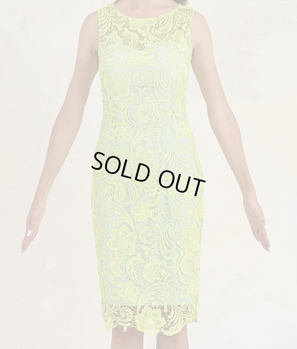 画像7: [ERUKEI]総レース・エレガント・ショート丈・ノースリーブ・タイト・ミニドレス・ワンピース[山崎みどり・れお着用][送料無料]myyl (7)